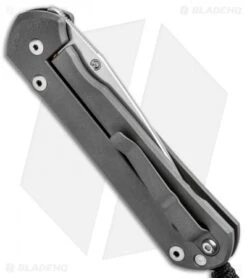 Chris Reeve Large Sebenza 21 Knife CGG Doppler (3.5" Stonewash) -Benchmadess Zone Chris Reeve Large Sebenza 21 CGG Doppler SW L21 1246 BHQ 92524 jr side