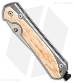 Chris Reeve Large Sebenza 31 Frame Lock Knife Box Elder Burl (3.625" SW) -Benchmadess Zone Chris Reeve Large Sebenza 31 FL Box Elder Burl SW BHQ 98964 jr spine