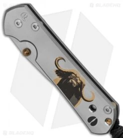 Chris Reeve Small Sebenza 21 Knife CGG Buffalo (2.94" Stonewash) -Benchmadess Zone Chris Reeve Sebenza 21 Small Cape Buffalo CGG BHQ 80792 er spine