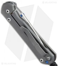 Chris Reeve Small Sebenza 21 Knife CGG Hex Blue (2.94" Stonewash) -Benchmadess Zone Chris Reeve Small Sebenza 21 CGG Hex Blue SW BHQ 67725 jr side