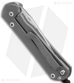 Chris Reeve Small Sebenza 21 Graphic Amethyst Unique (2.9" Satin) 9/21/17 -Benchmadess Zone Chris Reeve Small Sebenza 21 Graphic Amethyst Unique Satin BHQ 76604 er side