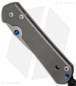 Chris Reeve Small Sebenza 21 Frame Lock Knife W/ Double Thumb Lug (2.94" SW) -Benchmadess Zone Chris Reeve Small Sebenza 21 double thumb lug SW BHQ 84405 er spine