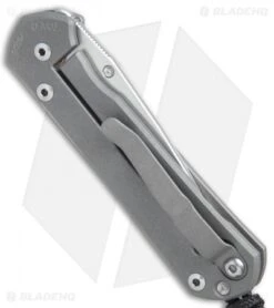 Small Sebenza 21 Knife Unique Graphic Amethyst Cobochon (2.94" Satin) -Benchmadess Zone Small Sebenza 21 unique graphic amethyst cobochon satin BHQ 74405 er side