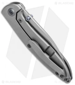 WE Knife Co. Schism Frame Lock Knife Blue Holes (2.8" Stonewash) 908B -Benchmadess Zone WE Knife Co Schism FL Blue Holes Satin 908B BHQ 97975 jr side