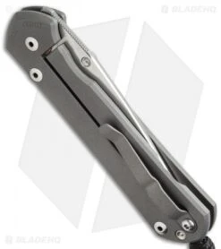 Chris Reeve Large Sebenza 21 Knife CGG Perception (3.625" Satin) -Benchmadess Zone chris reeve lg sebenza 21 cgg perception cm side