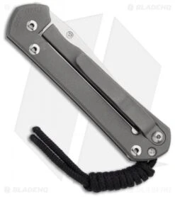 Chris Reeve Small Sebenza 21 Knife Riddled CGG (2.94" Plain) -Benchmadess Zone chris reeve smal sebenza 21 cgg raindrop back