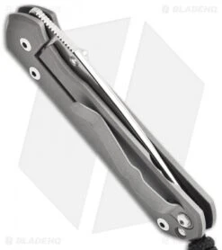 Chris Reeve Small Sebenza 21 Knife Riddled CGG (2.94" Plain) -Benchmadess Zone chris reeve smal sebenza 21 cgg raindrop side